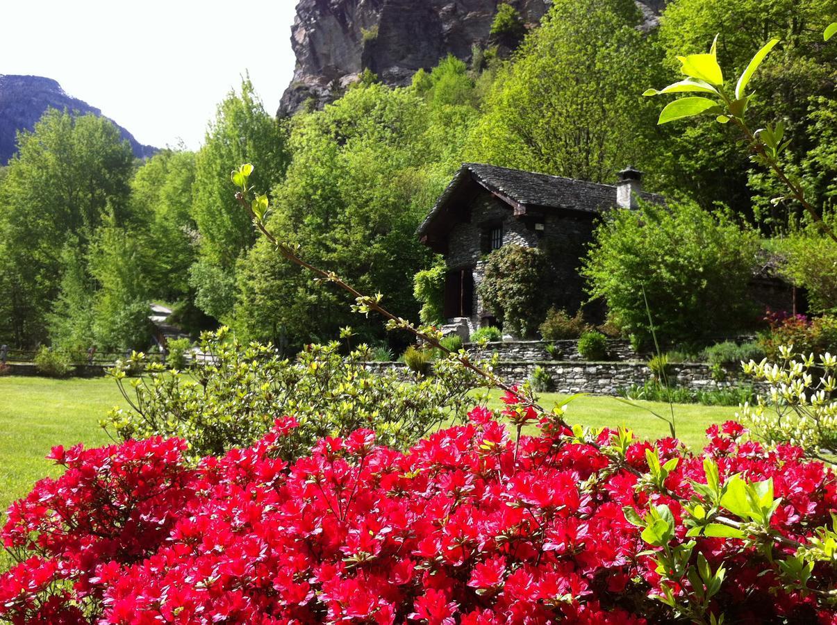 Chalet La Baita Villa Baceno Exterior photo